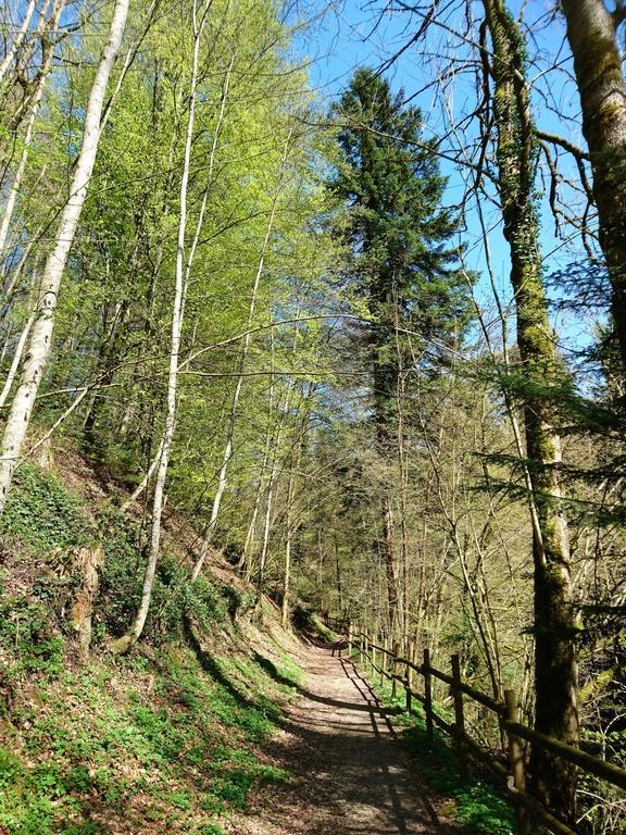 Gasthaus Zum Ochsen Neuhaus Eksteriør bilde