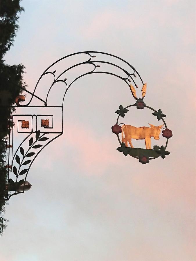Gasthaus Zum Ochsen Neuhaus Eksteriør bilde