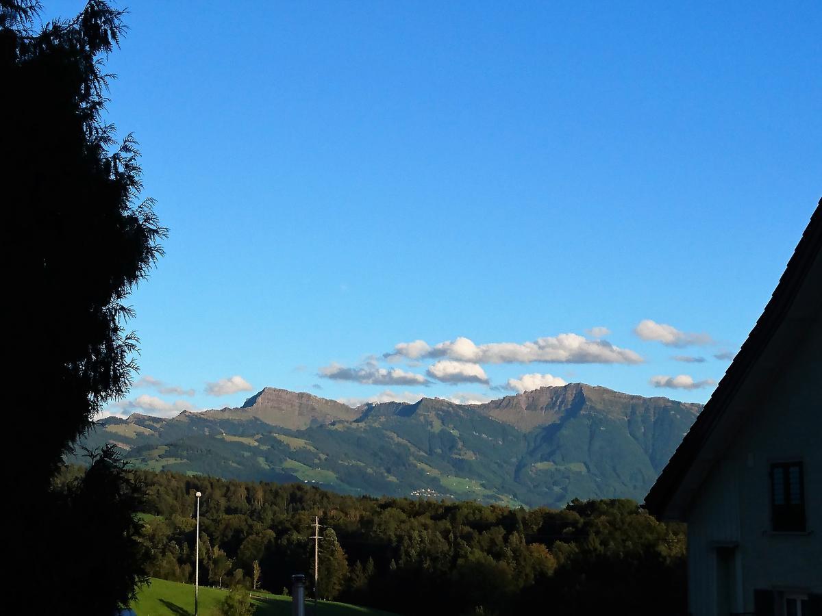 Gasthaus Zum Ochsen Neuhaus Eksteriør bilde