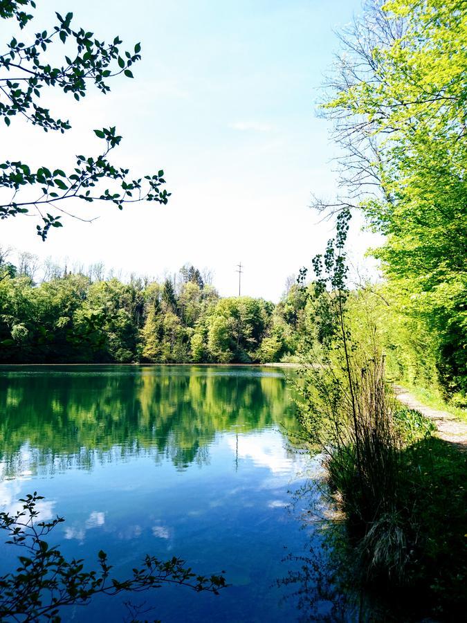 Gasthaus Zum Ochsen Neuhaus Eksteriør bilde